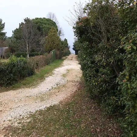 Alberi Crveni Vrh 公寓 萨武德里亚